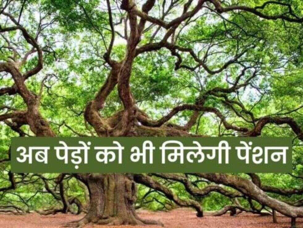 प्राणवायु देवता योजना