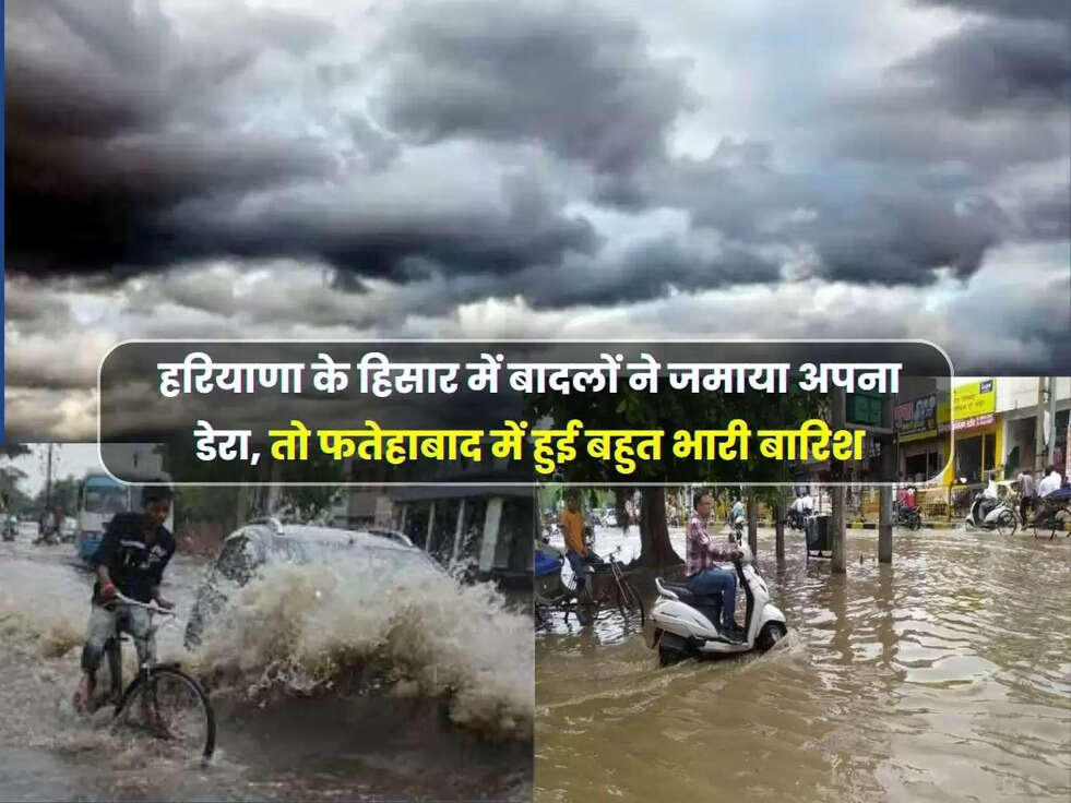 Haryana Monsoon Alert: हरियाणा के हिसार में बादलों ने जमाया अपना डेरा, तो फतेहाबाद में हुई बहुत भारी बारिश, जानें कैसा रहेगा आज का मौसम