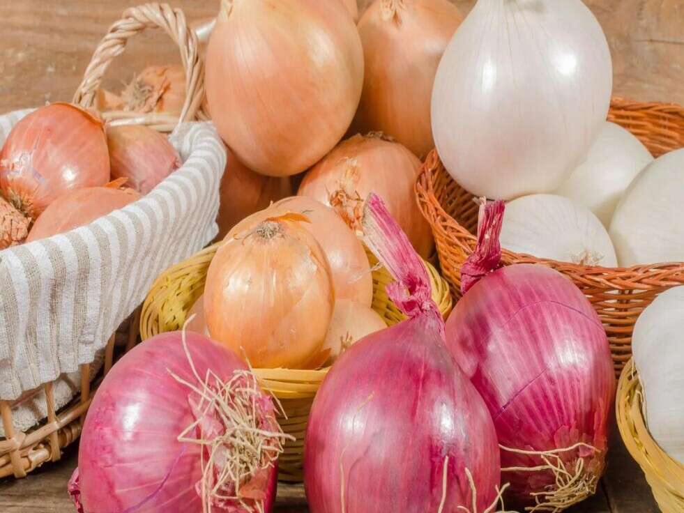 Onions