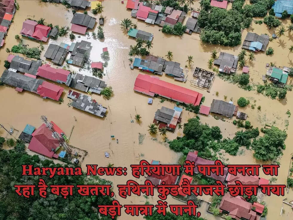 Haryana News:&nbsp;हरियाणा में पानी बनता जा रहा है बड़ा खतरा, हथिनी कुंड बैराजसे छोड़ा गया बड़ी मात्रा में पानी,