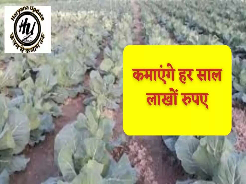 कमाएंगे हर साल लाखों रुपए