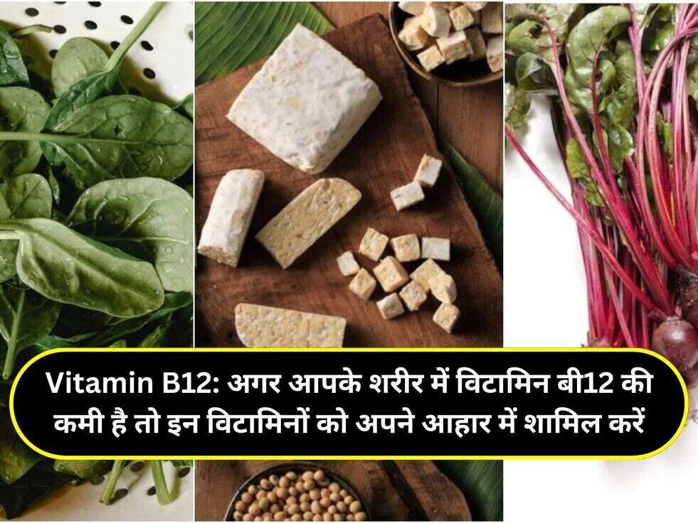 Vitamin B12:  अगर आपके शरीर में विटामिन बी12 की कमी है तो इन विटामिनों को अपने आहार में शामिल करें