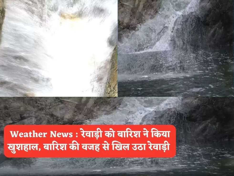Weather News : रेवाड़ी को बारिश ने किया खुशहाल, बारिश की वजह से खिल उठा रेवाड़ी&nbsp;