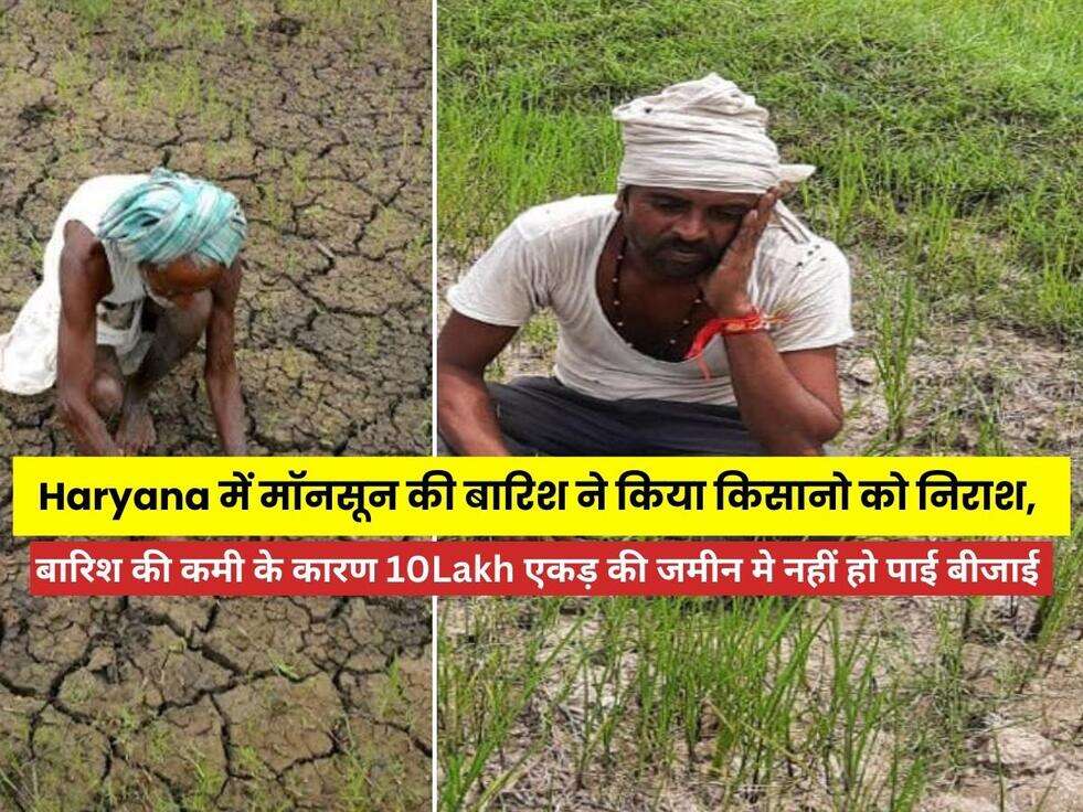 Haryana में मॉनसून की बारिश ने किया किसानो को निराश, बारिश की कमी के कारण 10Lakh एकड़ की जमीन मे नहीं हो पाई बीजाई , rain, baarish, sukhi jamin, sad kisan 