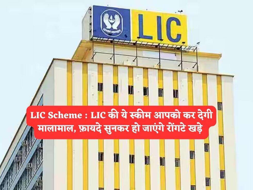 LIC Scheme : LIC की ये स्कीम आपको कर देगी मालामाल, फ़ायदे सुनकर हो जाएंगे रोंगटे खड़े&nbsp;