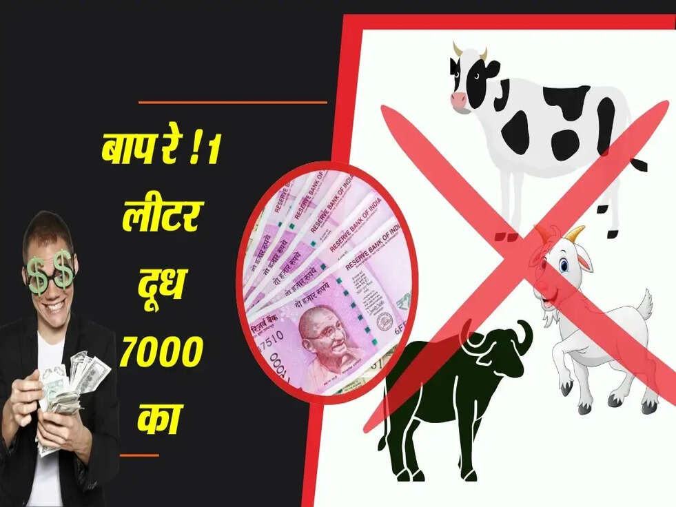 Business Idea: गाय-बकरी का दूध छोड़ें, इस जानवर का दूध बेचकर कमाएं 7000 रुपये प्रति लीटर