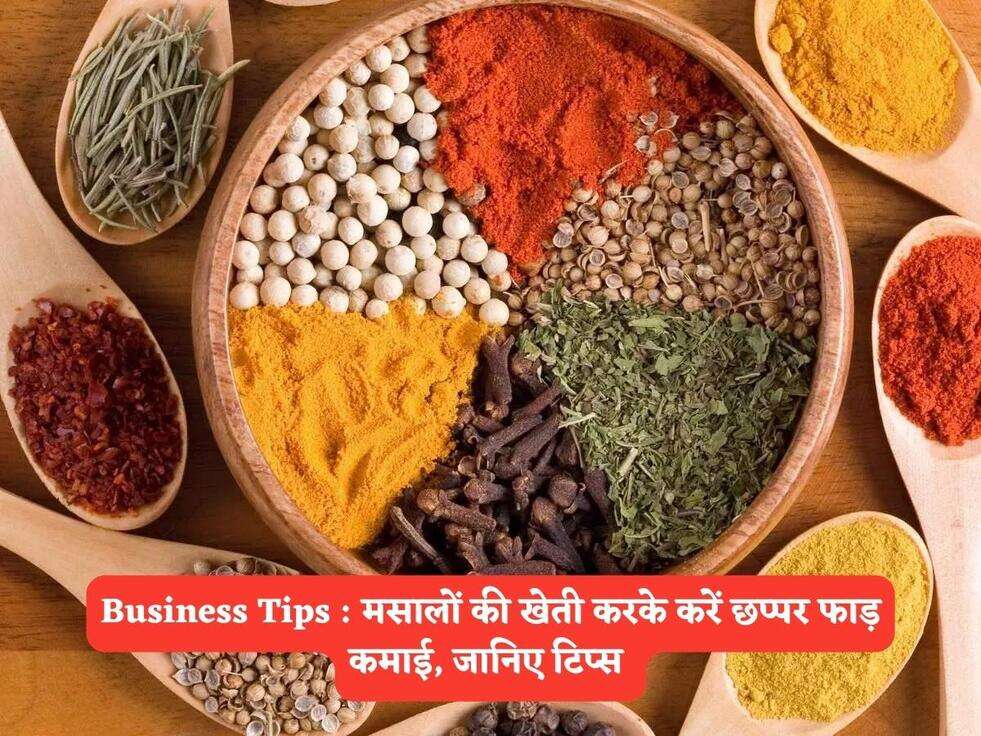 Business Tips :&nbsp; मसालों की खेती करके करें छप्पर फाड़ कमाई, जानिए टिप्स&nbsp;