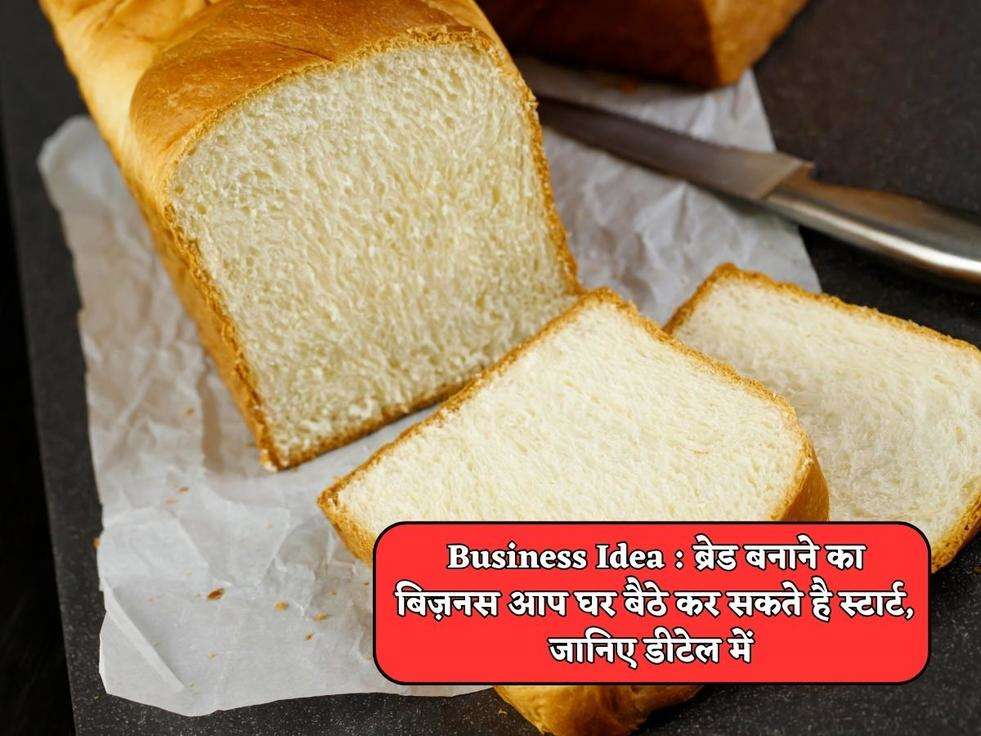 Business Idea : ब्रेड बनाने का बिज़नस आप घर बैठे कर सकते है स्टार्ट, जानिए डीटेल में 