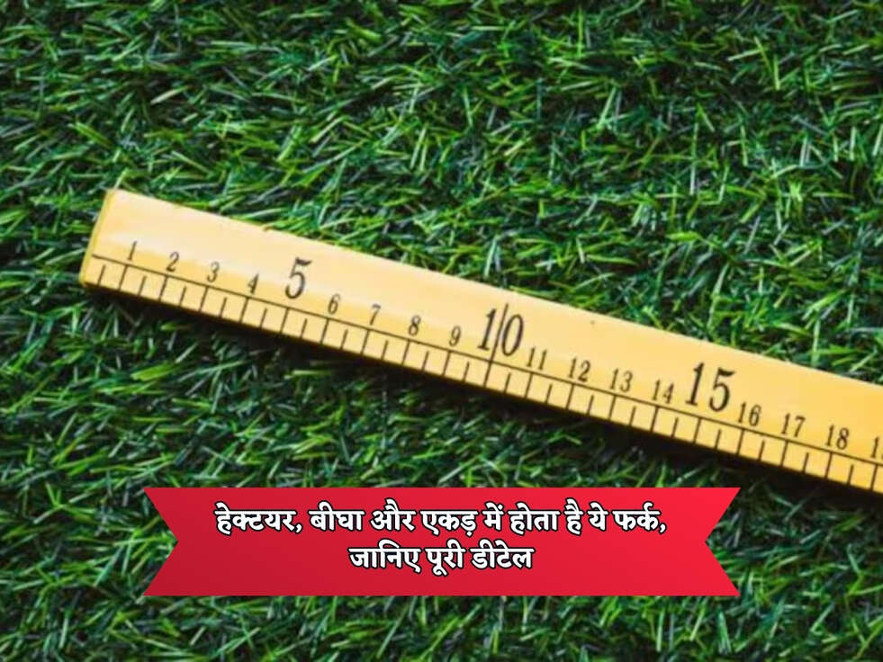 हेक्टयर, बीघा और एकड़ में होता है ये फर्क, जानिए पूरी डीटेल 