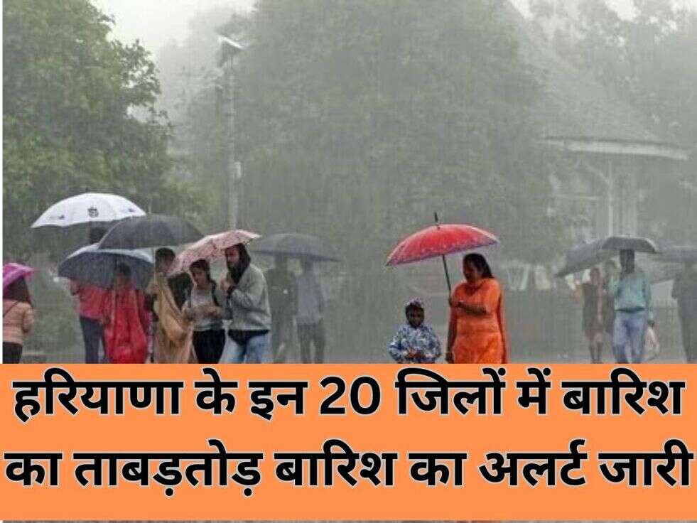 हरियाणा के इन 20 जिलों में बारिश का ताबड़तोड़ बारिश का अलर्ट जारी