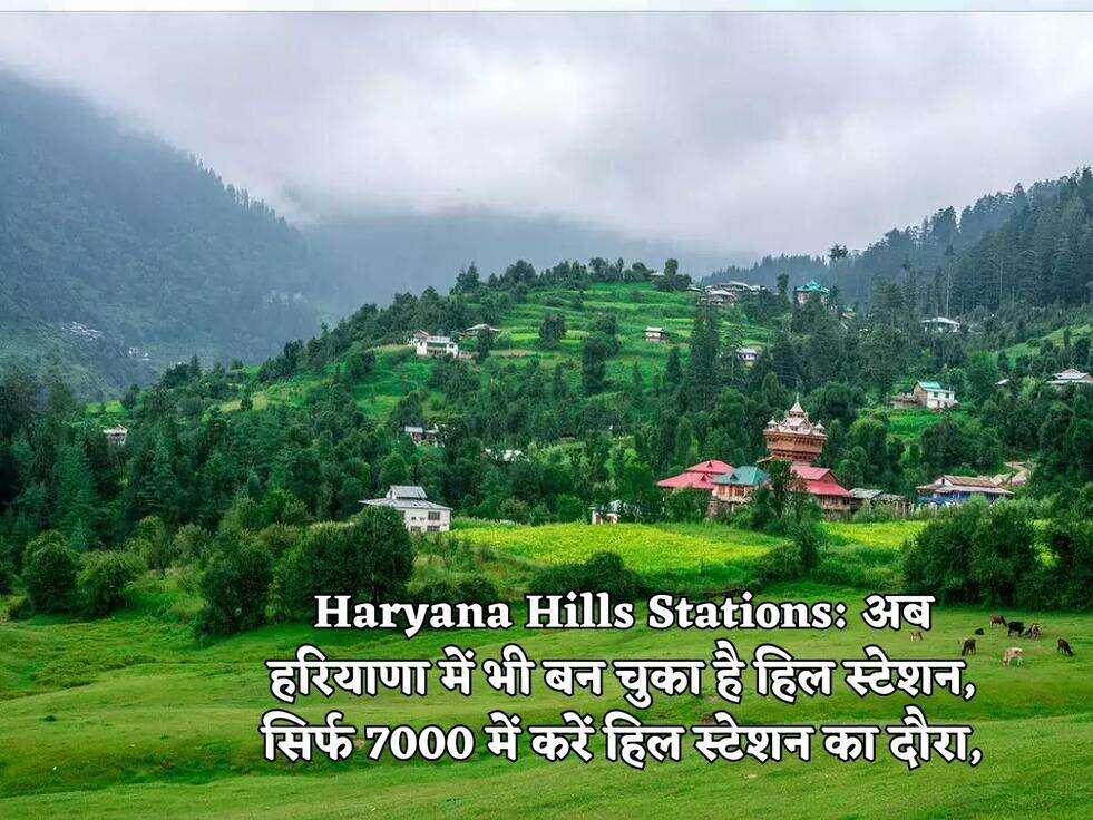 Haryana Hills Stations: अब हरियाणा में भी बन चुका है हिल स्टेशन, सिर्फ 7000 में करें हिल स्टेशन का दौरा,