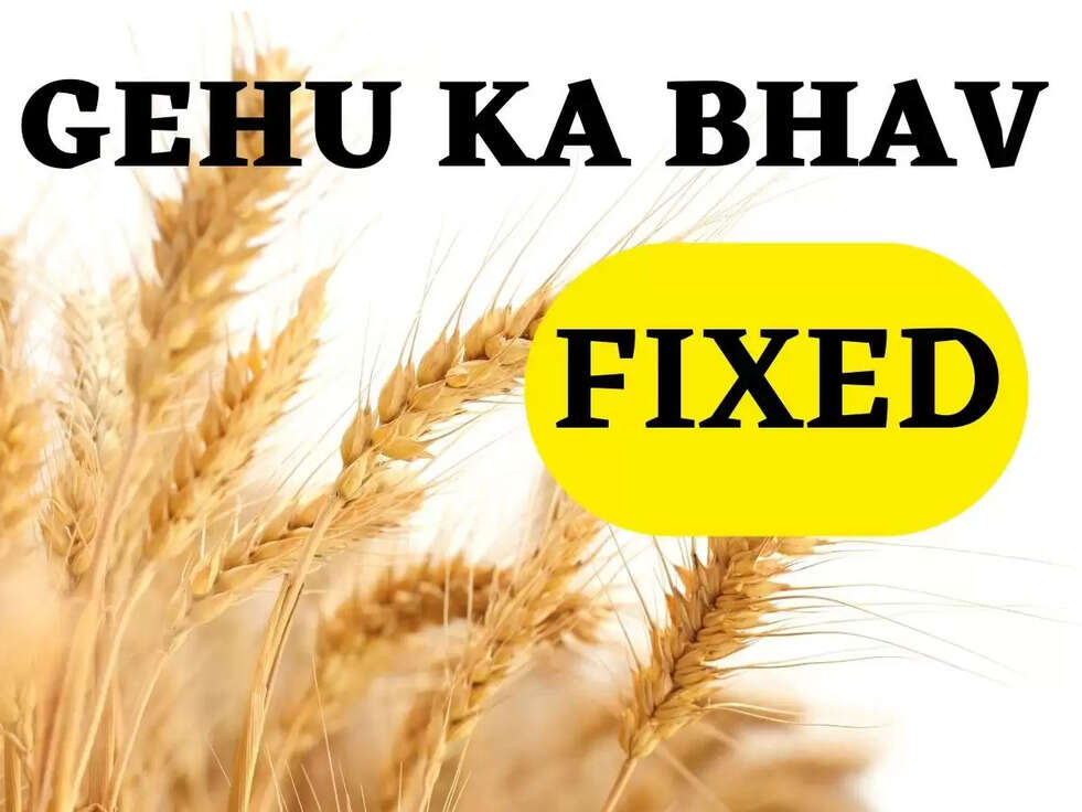 Gehu Ka Bhav: सरकार ने गेहू के दामो को किया स्थिर, अब हर प्रकार के गेहू बिकेगी 3000 रुपए कविन्तल 