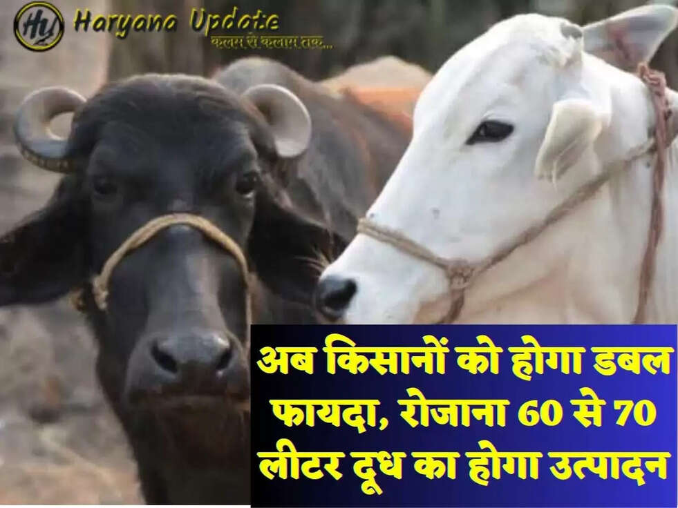 अब किसानों को होगा डबल फायदा, रोजाना 60 से 70 लीटर दूध का होगा उत्पादन