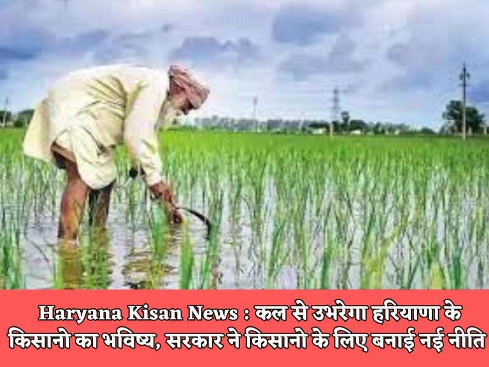 Haryana Kisan News : कल से उभरेगा हरियाणा के किसानो का भविष्य, सरकार ने किसानो के लिए बनाई नई नीति 