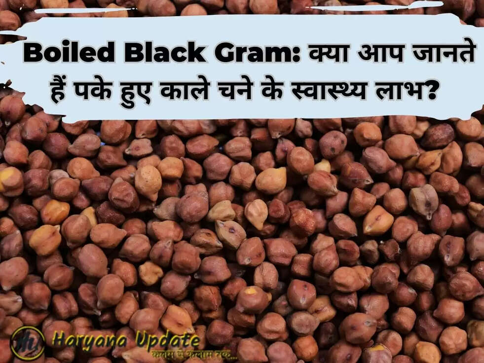 Boiled Black Gram: क्या आप जानते हैं पके हुए काले चने के स्वास्थ्य लाभ?&nbsp;