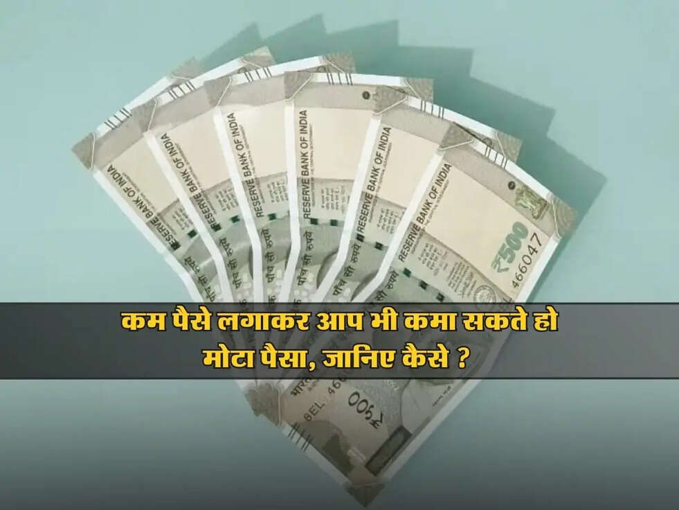 Income Idea : कम पैसे लगाकर आप भी कमा सकते हो मोटा पैसा, जानिए कैसे ?&nbsp;