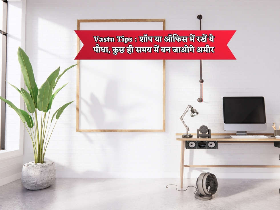 Vastu Tips : शॉप या ऑफिस में रखें ये पौधा, कुछ ही समय में बन जाओगे अमीर 