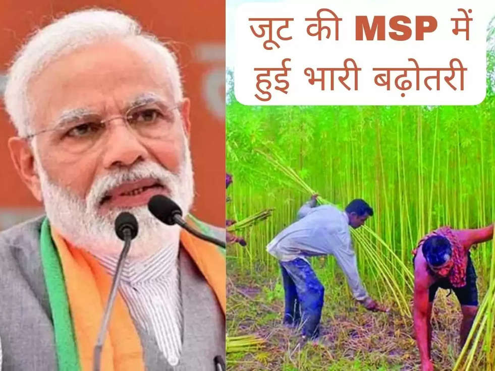 Raw Jute MSP: 40 लाख किसानों को मोदी Government की बड़ी सौगात, जूट की MSP में हुई भारी बढ़ोतरी
