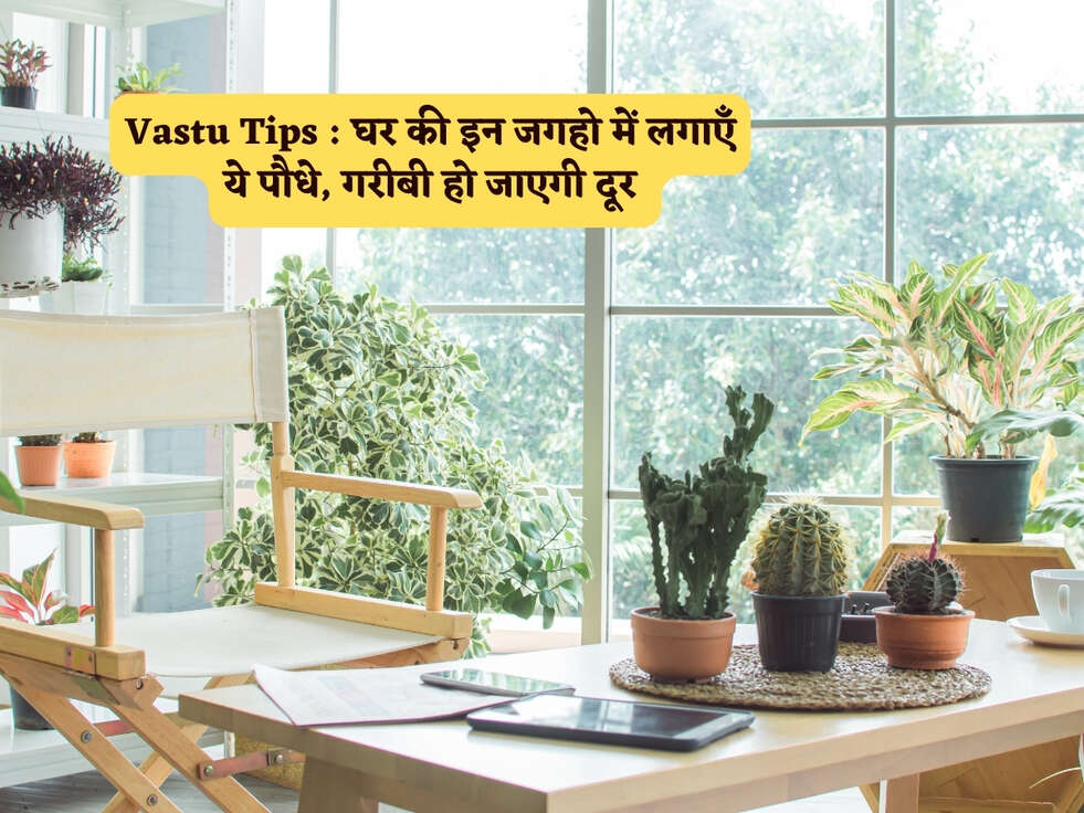 Vastu Tips : घर की इन जगहो में लगाएँ ये पौधे, गरीबी हो जाएगी दूर 