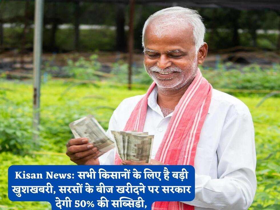 Kisan News: सभी किसानों के लिए है बड़ी खुशखबरी, सरसों के बीज खरीदने पर सरकार देगी 50% की सब्सिडी,