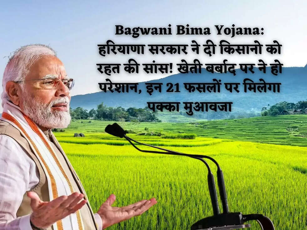 Bagwani Bima Yojana: हरियाणा सरकार ने दी किसानो को रहत की सांस!&nbsp;खेती बर्बाद पर ने हो परेशान, इन 21 फसलों पर मिलेगा पक्का&nbsp; मुआवजा