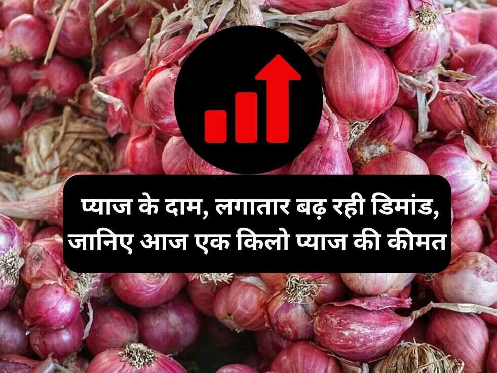 Onion Price