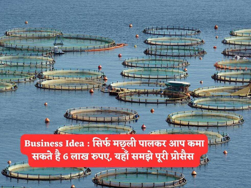 Business Idea : सिर्फ मछ्ली पालकर आप कमा सकते है 6 लाख रुपए, यहाँ समझे पूरी प्रोसैस&nbsp;