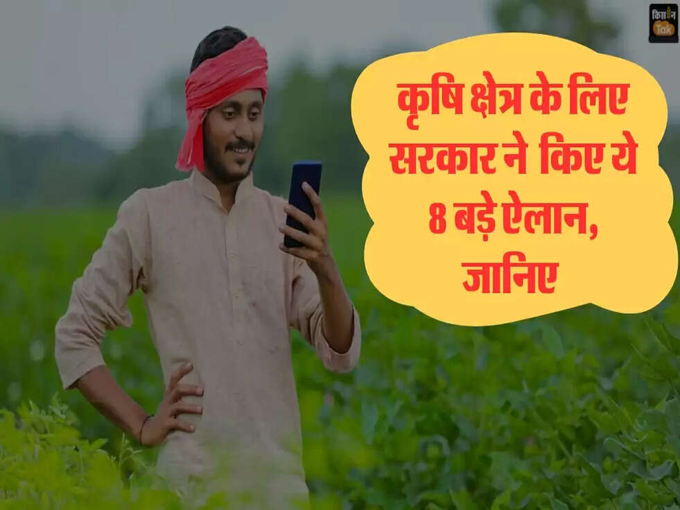 Budget 2025  for farmers