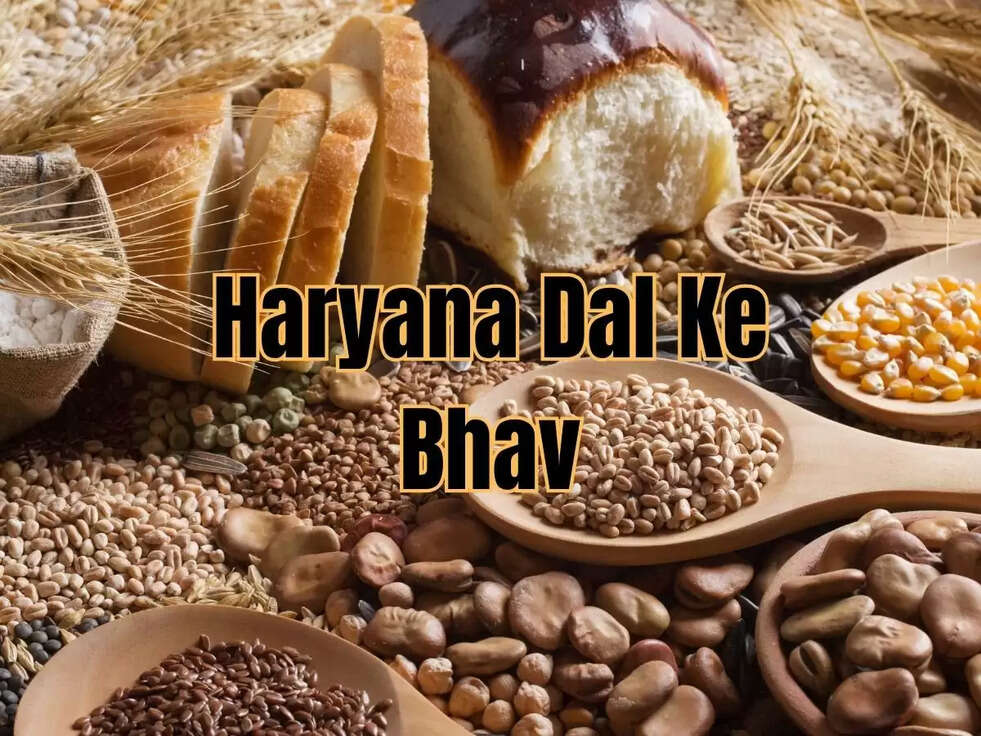 Haryana Dal Ke Bhav:&nbsp;दाल की महंगाई पर लगाम लगाना हो रहा है असंभव, 11 रुपये किलो बढ़कर अब इतने पहुंचे मंडी दाम