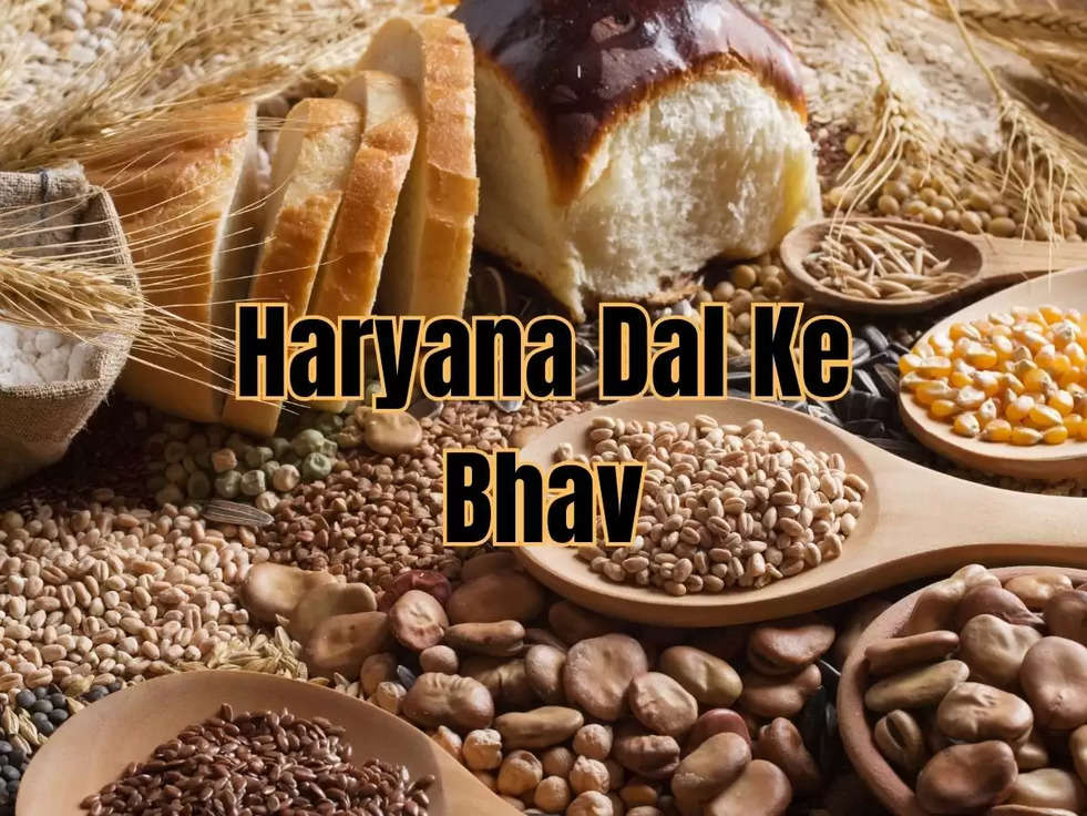 Haryana Dal Ke Bhav: दाल की महंगाई पर लगाम लगाना हो रहा है असंभव, 11 रुपये किलो बढ़कर अब इतने पहुंचे मंडी दाम