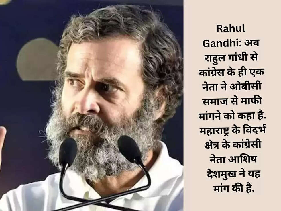 Rahul Gandhi: अब राहुल गांधी से कांग्रेस के ही एक नेता ने ओबीसी समाज से माफी मांगने को कहा है. महाराष्ट्र के विदर्भ क्षेत्र के कांग्रेसी नेता आशिष देशमुख ने यह मांग की है.