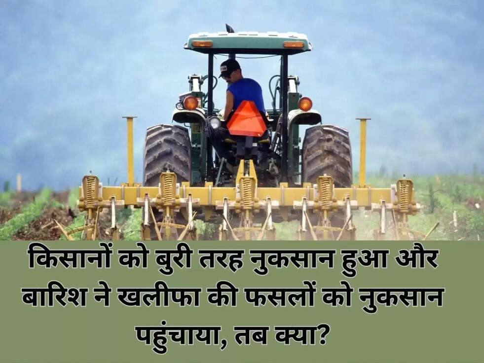 किसानों को बुरी तरह नुकसान हुआ और बारिश ने खलीफा की फसलों को नुकसान पहुंचाया, तब क्या?