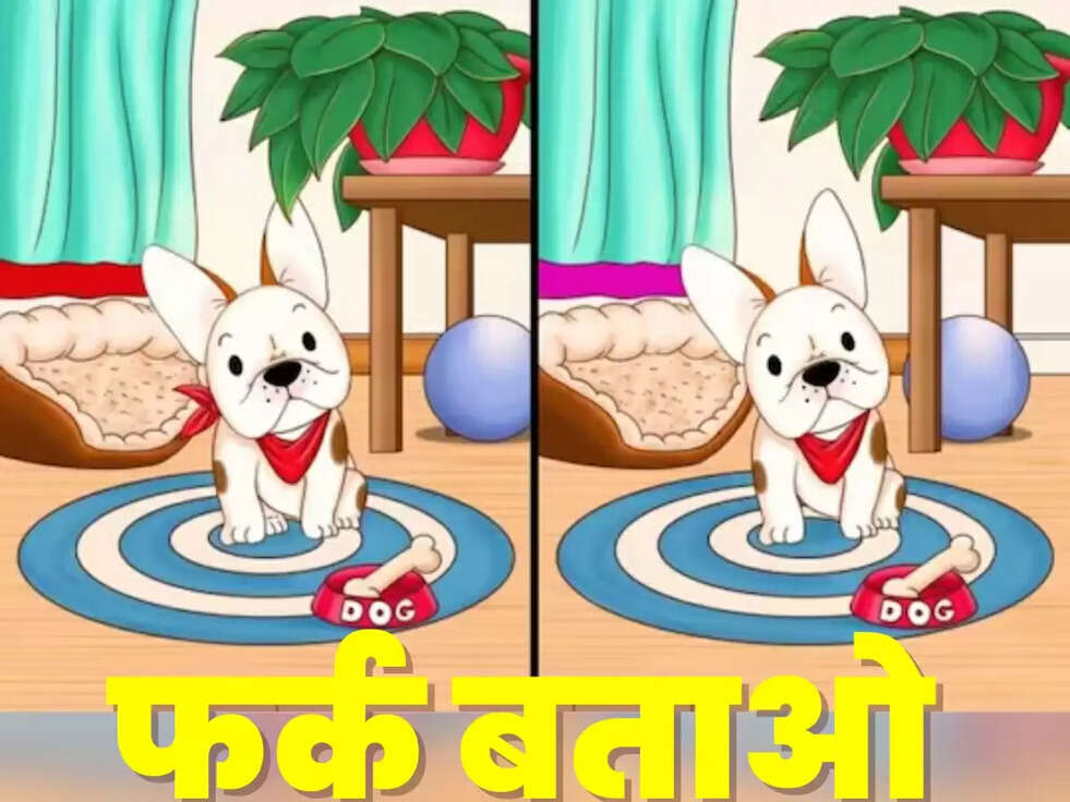 एक जैसी दो तस्वीर में खोजे 5 अंतर, 30 सेकंड में सही जवाब देकर बनिए जीनियस, जानिए सुपर टिप्स !
