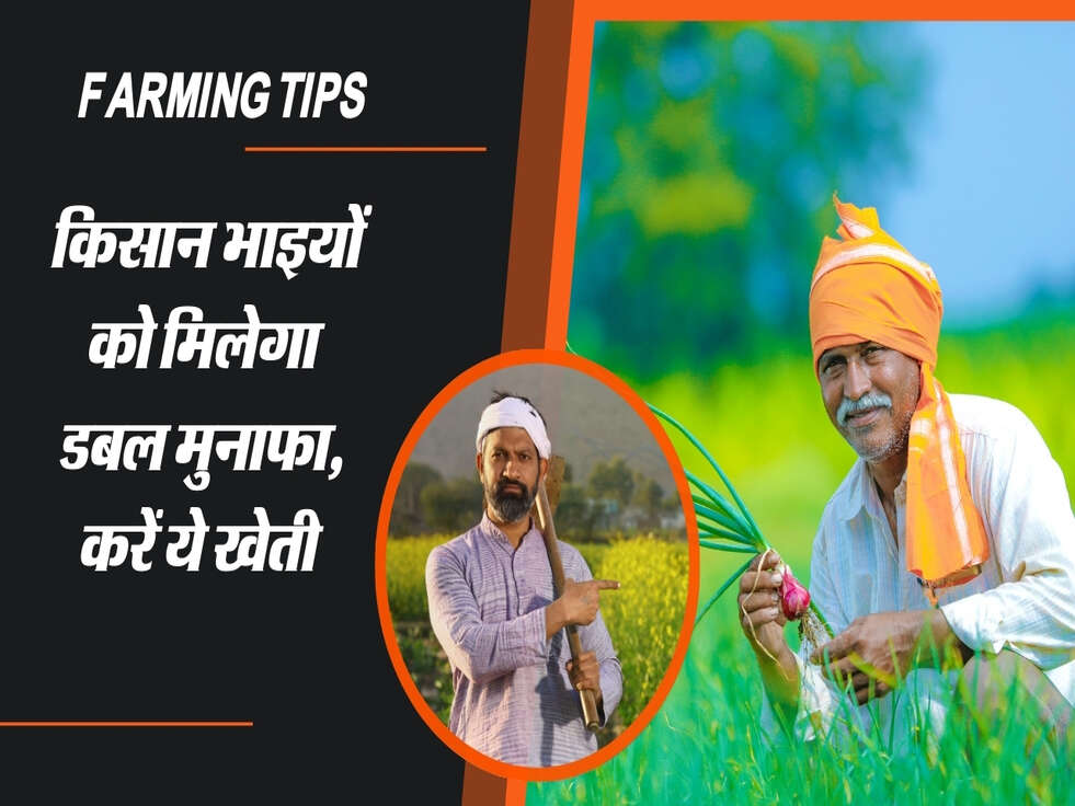 Farming Tips : किसान भाइयों को मिलेगा डबल मुनाफा, करें ये खेती 
