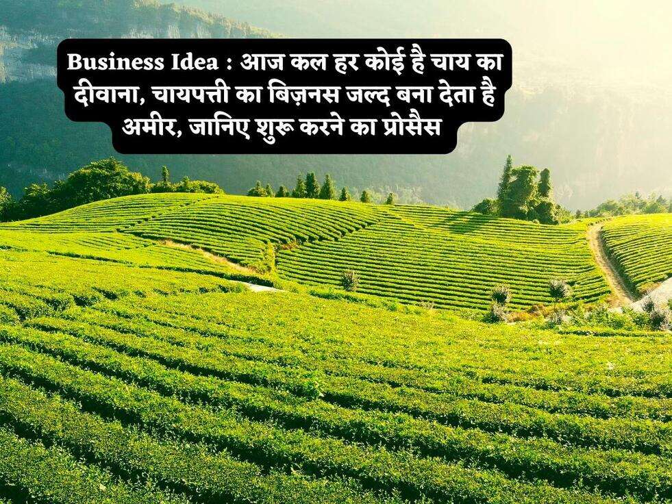Business Idea : आज कल हर कोई है चाय का दीवाना, चायपत्ती का बिज़नस जल्द बना देता है अमीर, जानिए शुरू करने का प्रोसैस&nbsp;