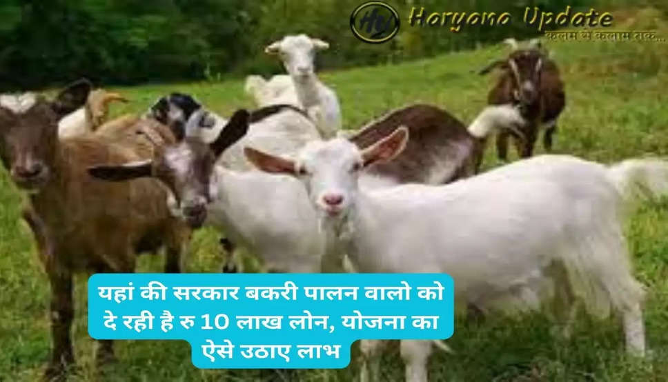 Goat Farming Yojana 2023: यहां की सरकार बकरी पालन वालो को दे रही है रु 10 लाख लोन, योजना का ऐसे उठाए लाभ..