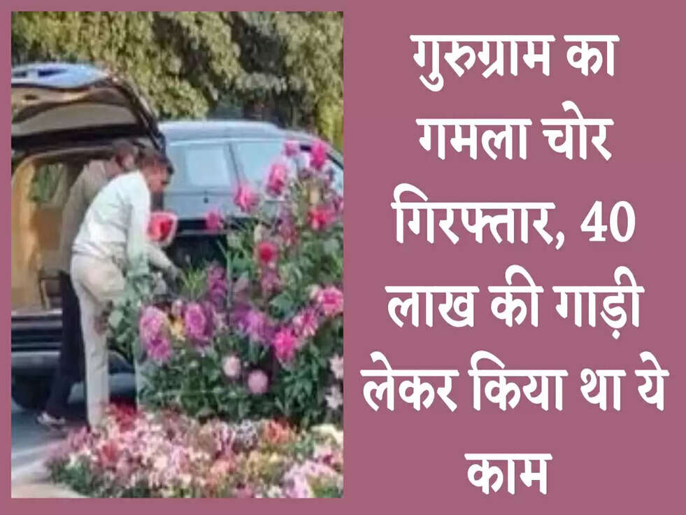 गुरुग्राम का गमला चोर गिरफ्तार, 40 लाख की गाड़ी लेकर किया था ये काम 