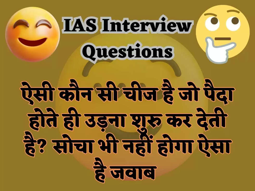 IAS Interview Questions: ऐसी कौन सी चीज है जो पैदा होते ही उड़ना शुरु कर देती है? सोचा भी नहीं होगा ऐसा है जवाब 