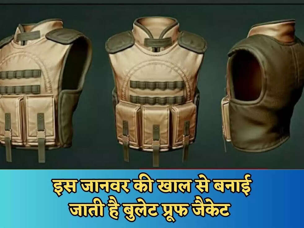 इस जानवर की खाल से बनाई जाती है बुलेट प्रूफ जैकेट 