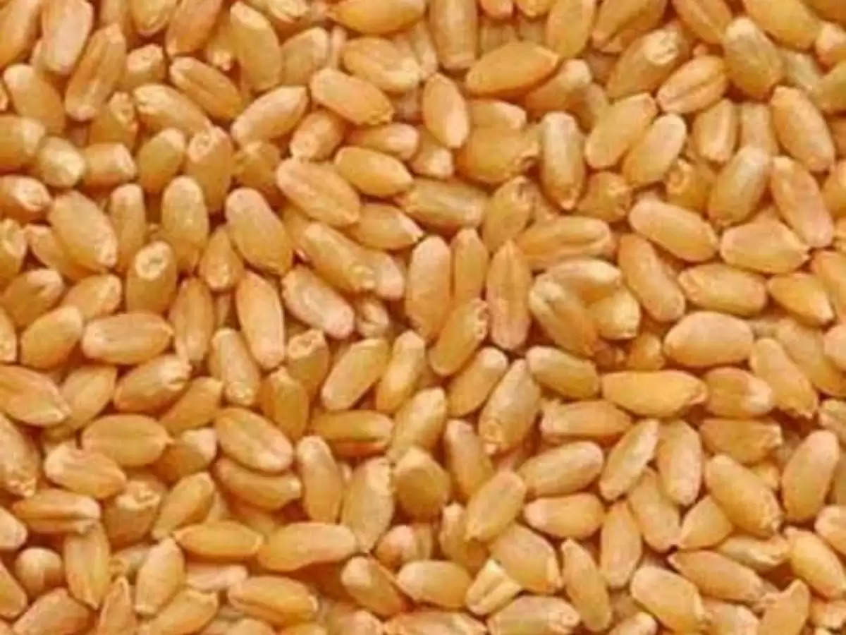 Wheat Prices: The price of wheat may rise by Rs 300; Will these things also have an effect?