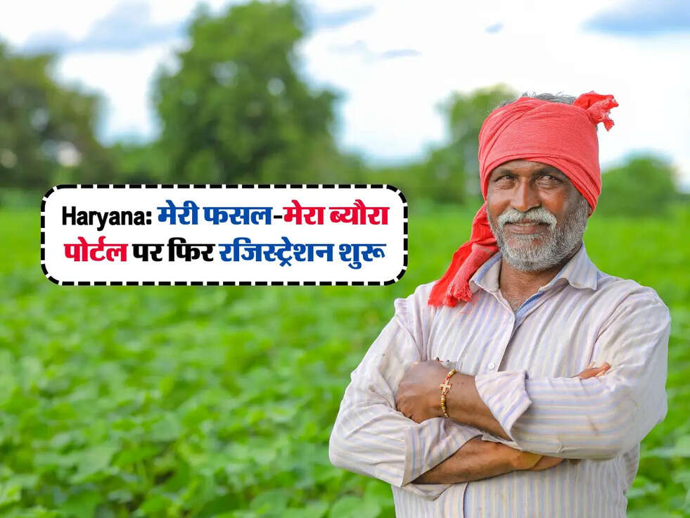 Haryana: मेरी फसल-मेरा ब्यौरा पोर्टल पर फिर रजिस्ट्रेशन शुरू, जानें प्रक्रिया और जरूरी कागजात