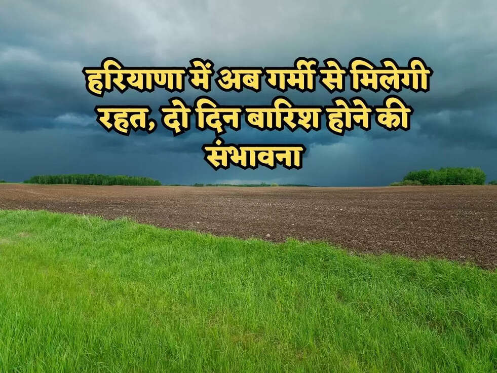 Haryana Weather News: हरियाणा में अब गर्मी से मिलेगी रहत, दो दिन बारिश होने की संभावना