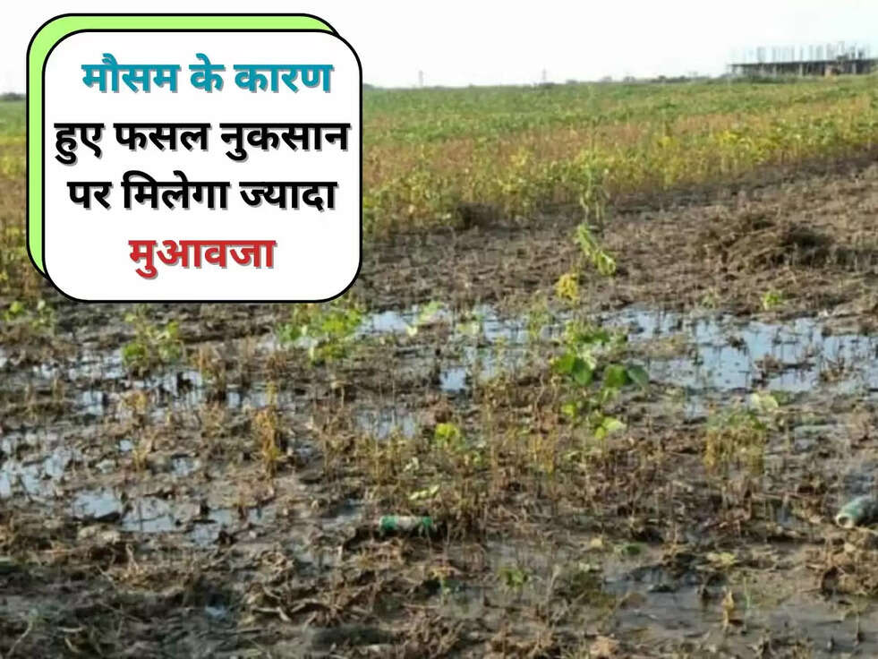 मौसम के कारण हुए फसल नुकसान पर मिलेगा ज्यादा मुआवजा