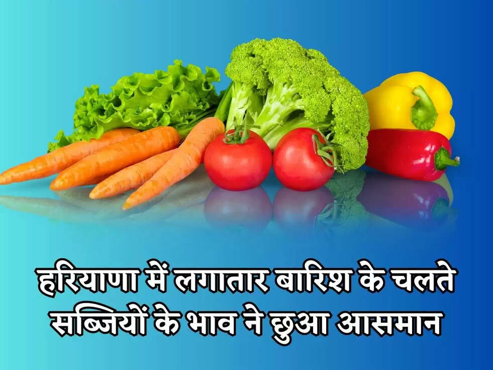 हरियाणा में लगातार बारिश के चलते&nbsp;सब्जियों के भाव ने छुआ आसमान, जानिए आज का ताजा&nbsp;भाव&nbsp;