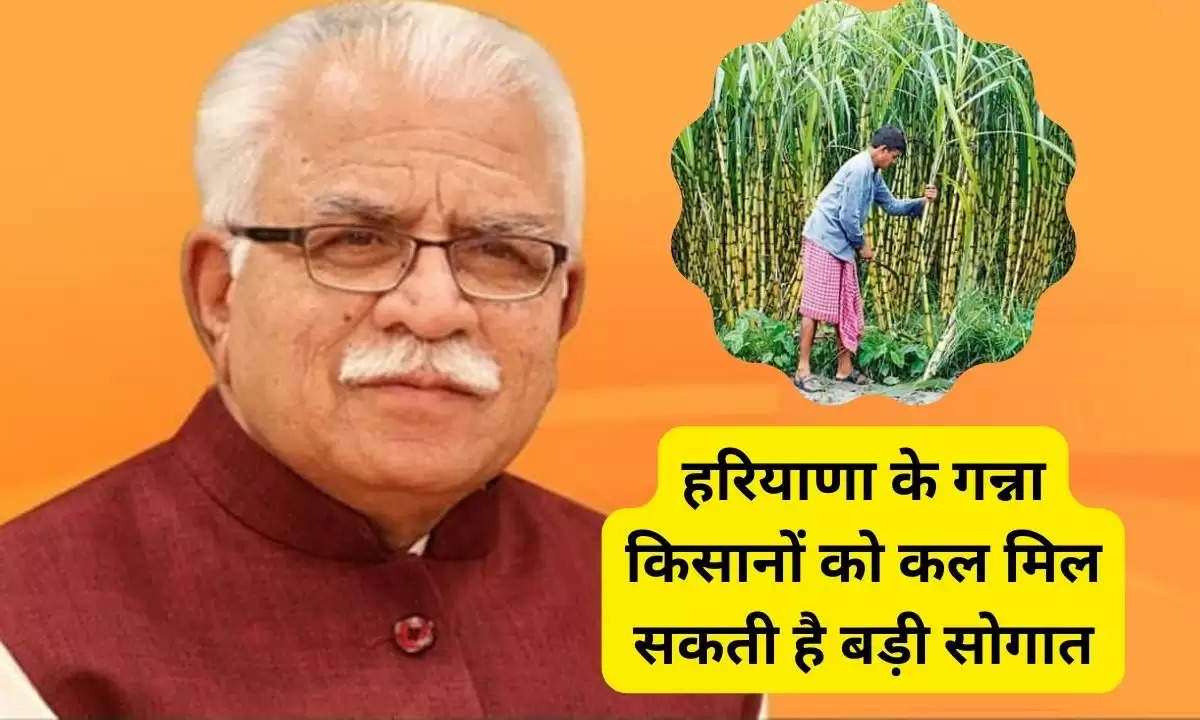 Haryana Sugarcane Rates: हरियाणा के गन्ना किसानों को कल मिल सकती है बड़ी सोगात,जानिए 