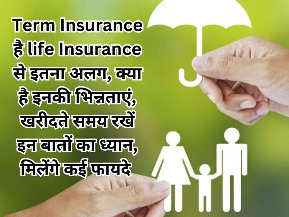 term insurance and life insurance news 