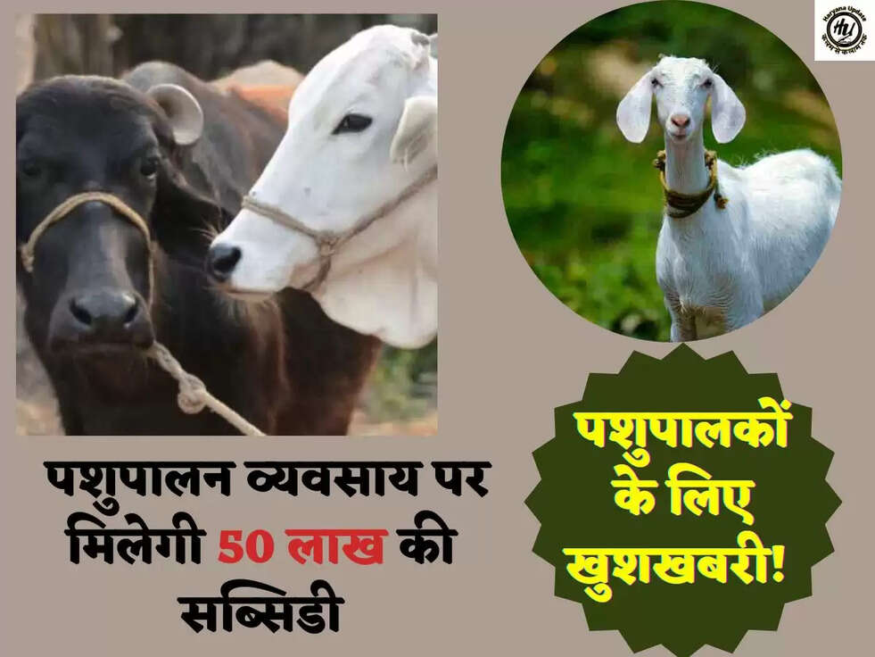 पशुपालकों के लिए खुशखबरी! पशुपालन व्यवसाय पर मिलेगी 50 लाख की सब्सिडी