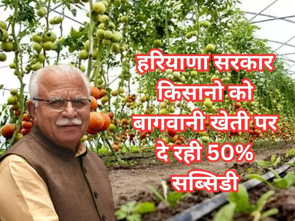 Haryana subsidy Schame