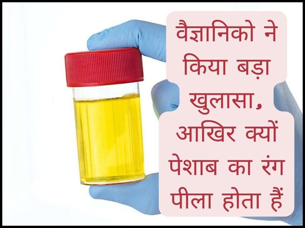 Color Of Urine: वैज्ञानिको ने किया बड़ा खुलासा, आखिर क्यों पेशाब का रंग पीला होता हैं