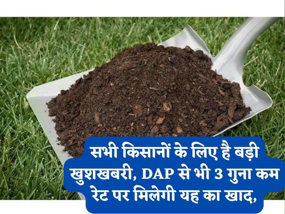 सभी किसानों के लिए है बड़ी खुशखबरी, DAP से भी 3 गुना कम रेट पर मिलेगी यह का खाद,